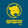 Panteres grogues Rugby