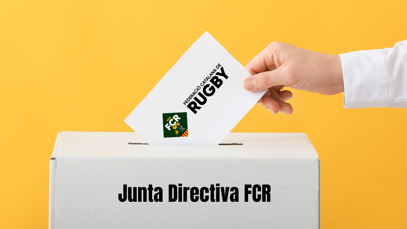 Trobada d'Escoles de Rugby (14)