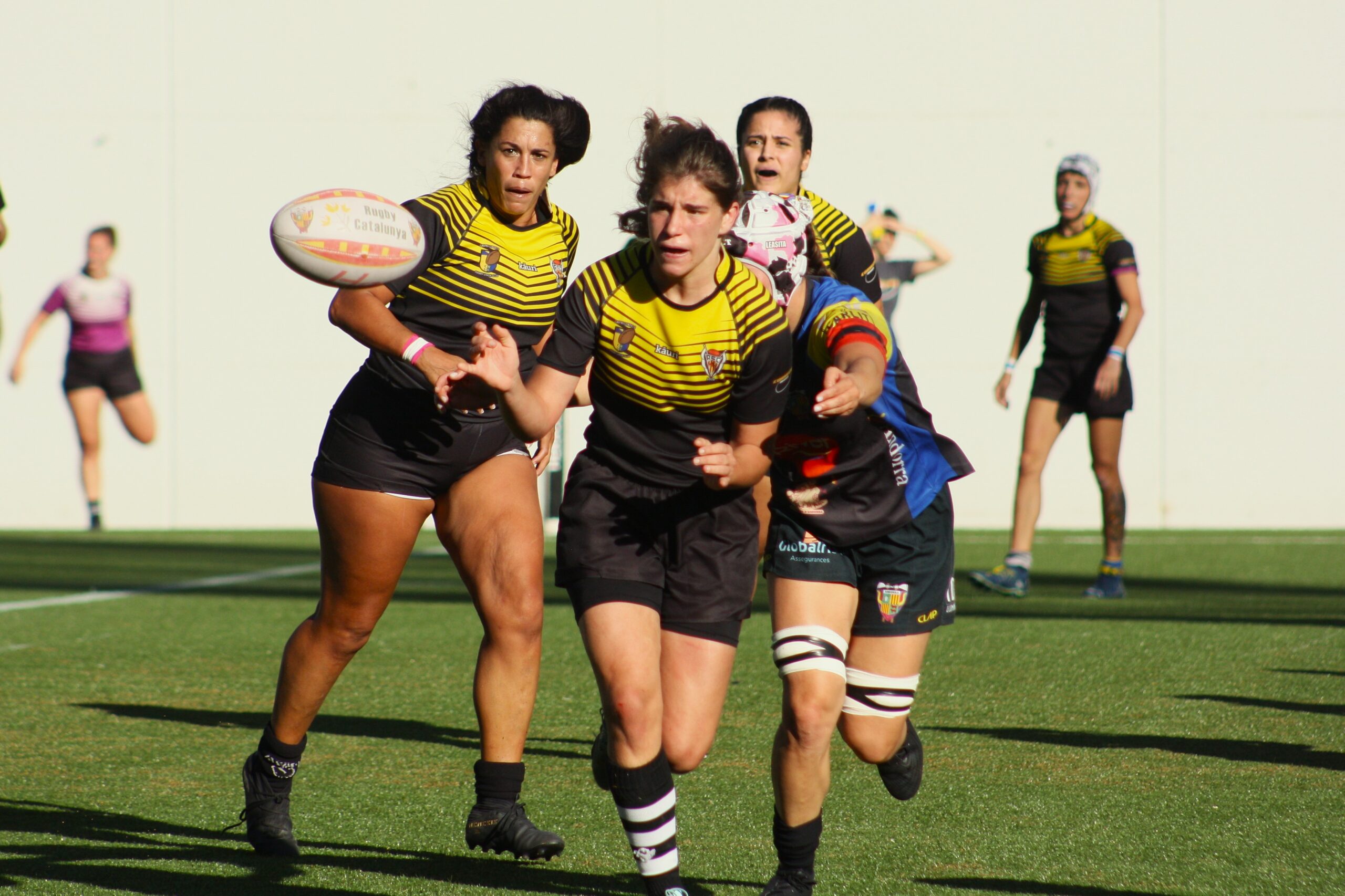 4d23818d-1340-481d-a546-15a892f712c5