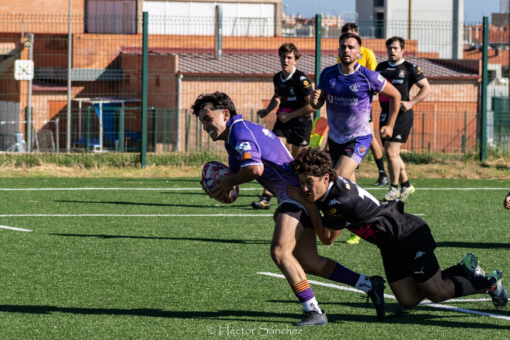 54833273777_c6ef57068a_b